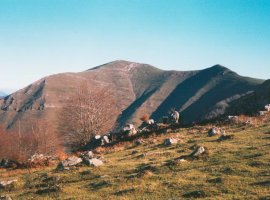 Mendebaldeko isurialdea