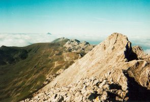 Tontorreko ikuspegia