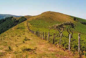 Gailurra iparraldetik