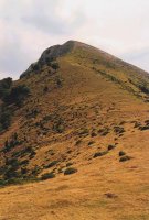 Idoiako tontorra iparraldetik