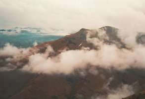 Tontorra laino artean Oilarandoitik