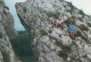 Lezearen gaineko gandor zorrotza