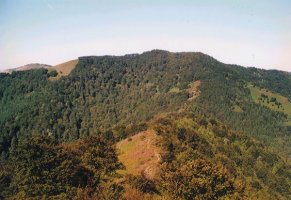 Ekialdeko isurialdea