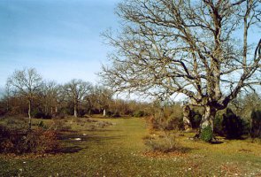 Hegoaldeko isurialdearen ikuspegia