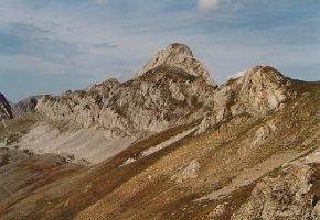 Laraillerekin lotzen duen gandorra