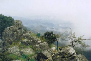 Tontorra