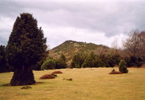 HEko larreetatik ikusita