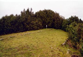 Tontorra ezpel artean