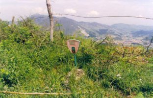 Tontorra