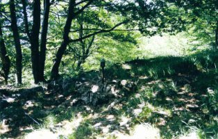 Tontorra