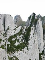 Palomares aldetik, Larrasaren gandorraren atzean