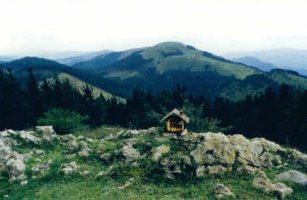 Tontorra