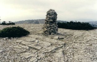 Tontorra