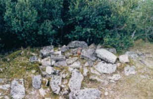 Tontorra