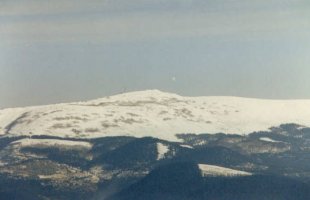Urtemondotik