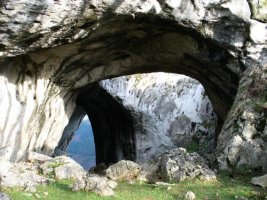 Leizearen sarrera
