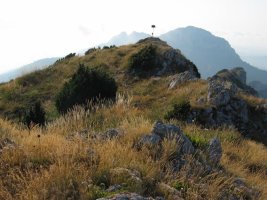 Tontorra