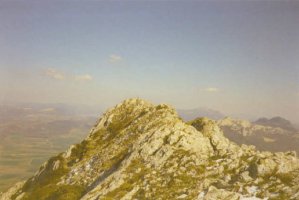 Tontorra
