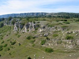 Ermitatik ikusita