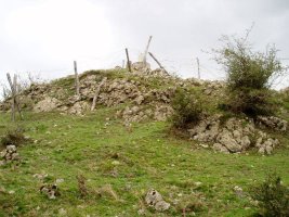 Tontorra