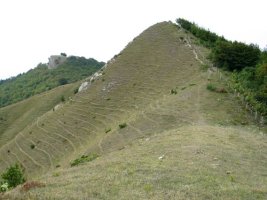 Erdiko muinoa