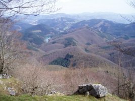 Barrendiola urtegia eta inguruko basoak