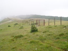 Etxarriko portua
