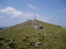 Tontorra