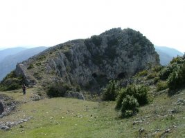 TONTORRA