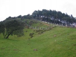 Sorginbaso