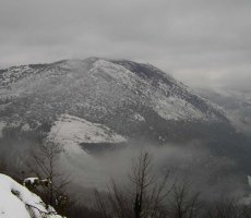Saibi bidetik.