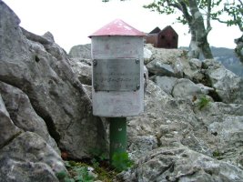 BUZOIA