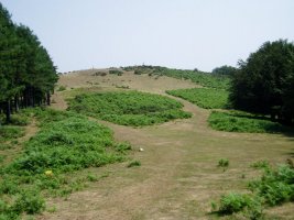 Tontorra
