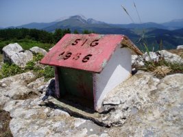 Buzoia