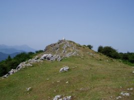 Tontorra