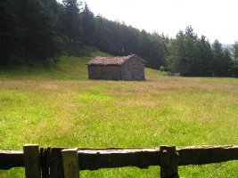 txabola
