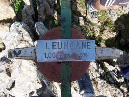 Leungane