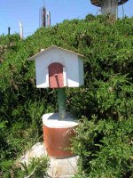 Buzoia