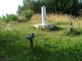 TONTORRA