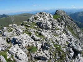 Gain aldea