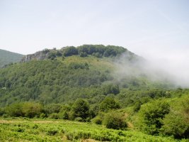 Eniriotik ikusita