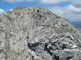 Tontorra Etik