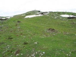 Tontorra Etik