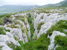 Arrakala karstean