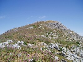 Tontorra