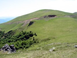Txardeka aldetik, IMtik