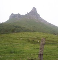 tologorri