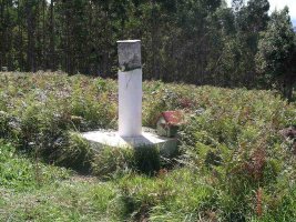 Tontorra-2005