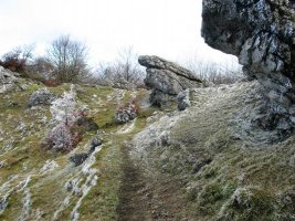 Tontorraren inguruak