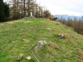 Tontorra